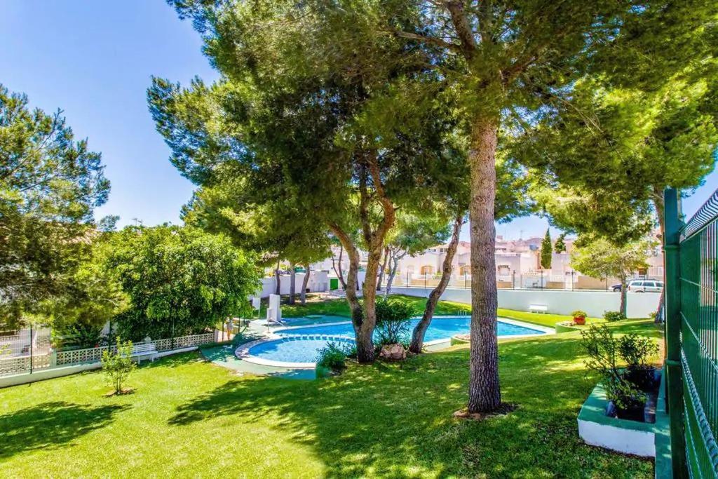 Apartament Casa Del Gato Rojo , Communal Swimming Pool , Terrace With Barbecue Torrevieja Exterior foto